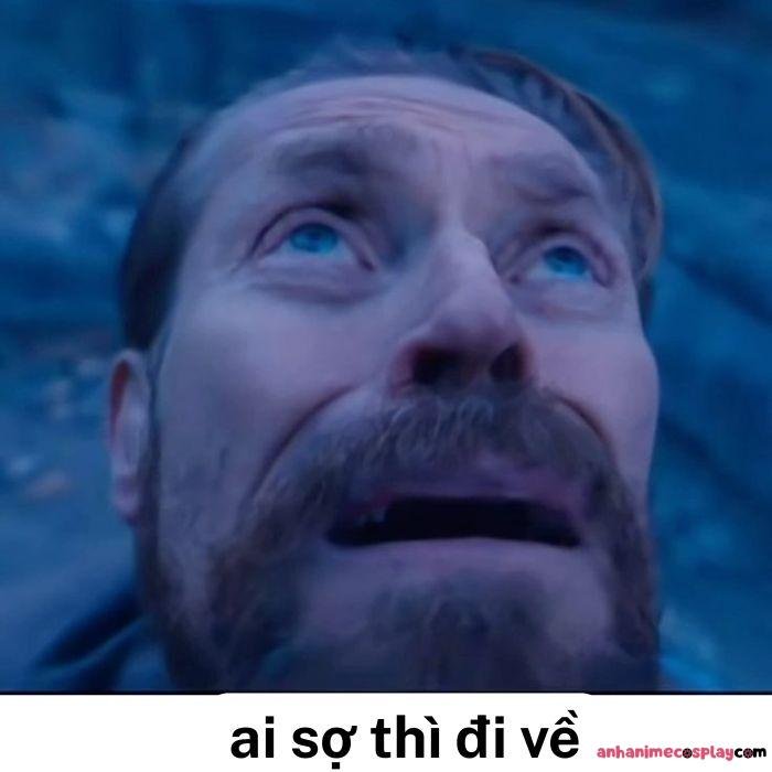 hình ảnh meme ai sợ thì đi về hài